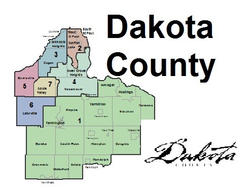dakota county election